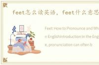 feet怎么读英语，feet什么意思英语