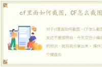 cf里面如何截图，CF怎么截图的