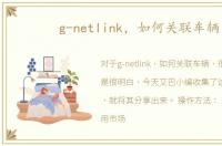 g-netlink，如何关联车辆