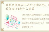 股票里佣金万三是什么意思啊，股票开户的佣金万3是什么意思