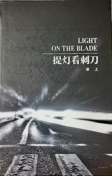 提灯看刺刀，淮上所著都市耽美小说