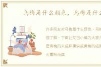 乌梅是什么颜色，乌梅是什么