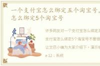 一个支付宝怎么绑定五个淘宝号，支付宝怎么绑定5个淘宝号