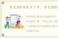 黄龙300油耗多少升，黄龙300油耗
