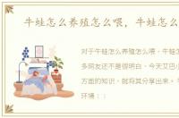 牛蛙怎么养殖怎么喂，牛蛙怎么养殖
