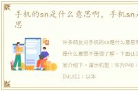 手机的sn是什么意思啊，手机sn是什么意思