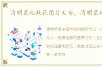 清明墓地献花图片大全，清明墓地献花