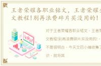 王者荣耀各职业铭文，王者荣耀全职业铭文教程!别再浪费碎片买没用的!