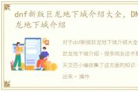 dnf新版巨龙地下城介绍大全，DNF新版巨龙地下城介绍