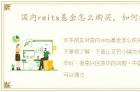 国内reits基金怎么购买，如何操作