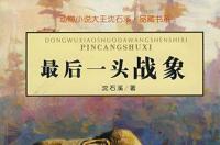 最后一头战象，沈石溪所著小说