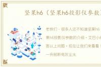 坚果h6（坚果h6投影仪参数）