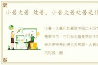 小暑大暑 处暑，小暑大暑处暑是什么意思
