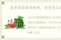 本兮是否真的逝世，本兮怎么死的