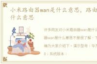 小米路由器wan是什么意思，路由器wan是什么意思