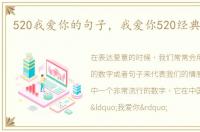 520我爱你的句子，我爱你520经典好句子