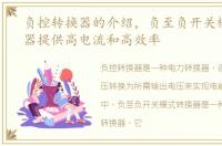 负控转换器的介绍，负至负开关模式转换器提供高电流和高效率