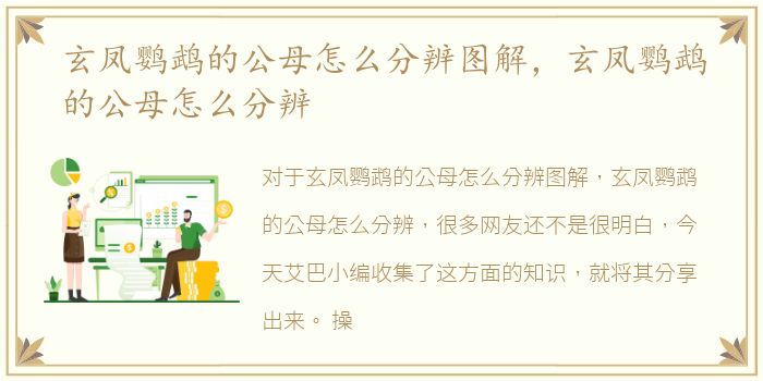 玄凤鹦鹉的公母怎么分辨图解，玄凤鹦鹉的公母怎么分辨