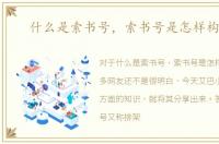 什么是索书号，索书号是怎样构成的