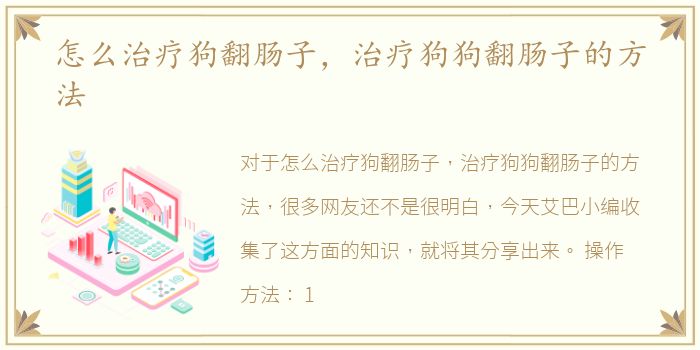怎么治疗狗翻肠子，治疗狗狗翻肠子的方法