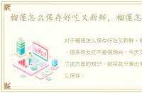 榴莲怎么保存好吃又新鲜，榴莲怎么保存