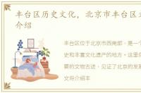 丰台区历史文化，北京市丰台区文物古迹介绍