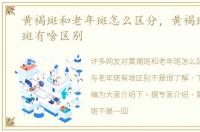 黄褐斑和老年斑怎么区分，黄褐斑与老年斑有啥区别
