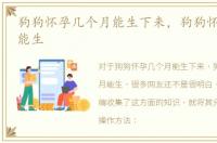 狗狗怀孕几个月能生下来，狗狗怀孕几个月能生