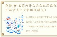 创造101王菊为什么这么红怎么红起来的（王菊多大了资料旧照曝光）
