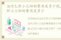 治疗乙肝小三阳的费用是多少钱，治疗乙肝小三阳的费用是多少