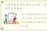 大学里的奖学金是怎么评的，大学奖学金是怎么评选的