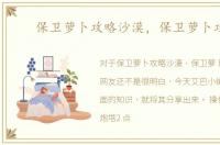 保卫萝卜攻略沙漠，保卫萝卜攻略