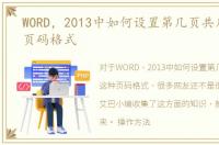 WORD，2013中如何设置第几页共几页这种页码格式