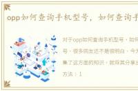 opp如何查询手机型号，如何查询手机型号