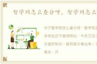 智学网怎么查分呀，智学网怎么查分