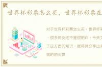 世界杯彩票怎么买，世界杯彩票在哪里买