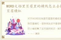 WORD文档里页眉里的横线怎么去掉，删除页眉横杠