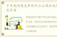 干旱期间德克萨斯州立公园出现隐藏的恐龙足迹
