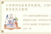 工信部网站备案系统查询，工信部网站备案信息怎么查询