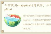 如何使用snapgene构建载体，如何使用SnapChat