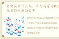 负电荷带什么电，负电荷泵为WLED背光实现类似电感的效率