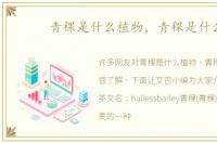 青稞是什么植物，青稞是什么