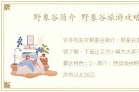 野象谷简介 野象谷旅游攻略