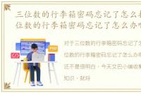三位数的行李箱密码忘记了怎么打开，三位数的行李箱密码忘记了怎么办啊