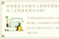 朱珠老公王昀佳个人资料背景情史黑料揭秘（王昀佳是做什么的）