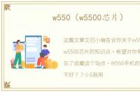 w550（w5500芯片）