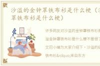 沙溢的金钟罩铁布衫是什么梗（沙溢金钟罩铁布衫是什么梗）