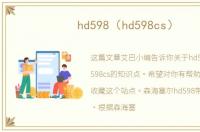 hd598（hd598cs）