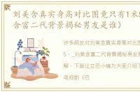 刘美含真实身高对比图竟只有1米5（_刘美含富二代背景揭秘男友是谁）