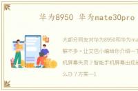华为8950 华为mate30pro